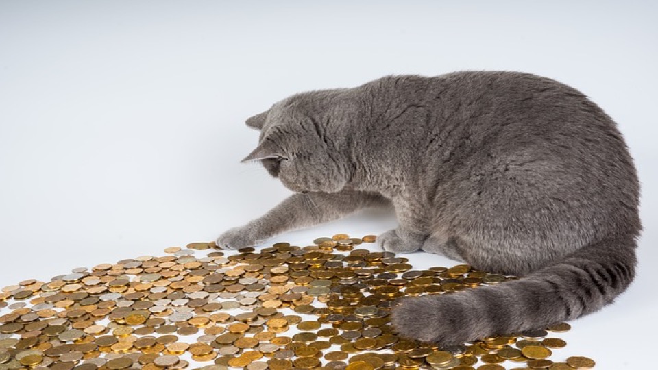 陆金所的银行精选 4.1% 利息,几款现金理财产品对比