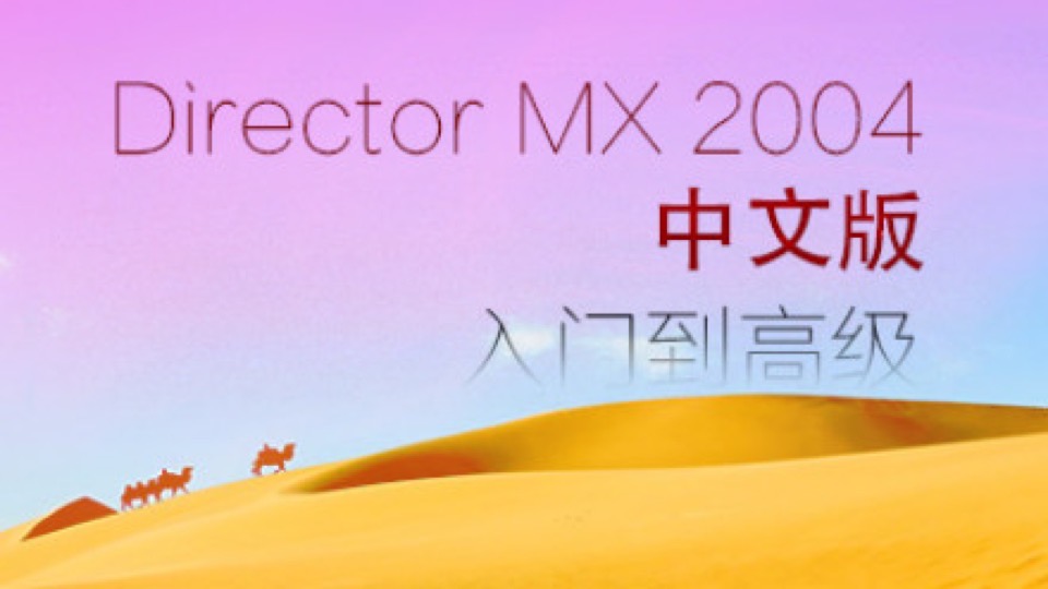 DirectorMX2004入门到高级-限时优惠