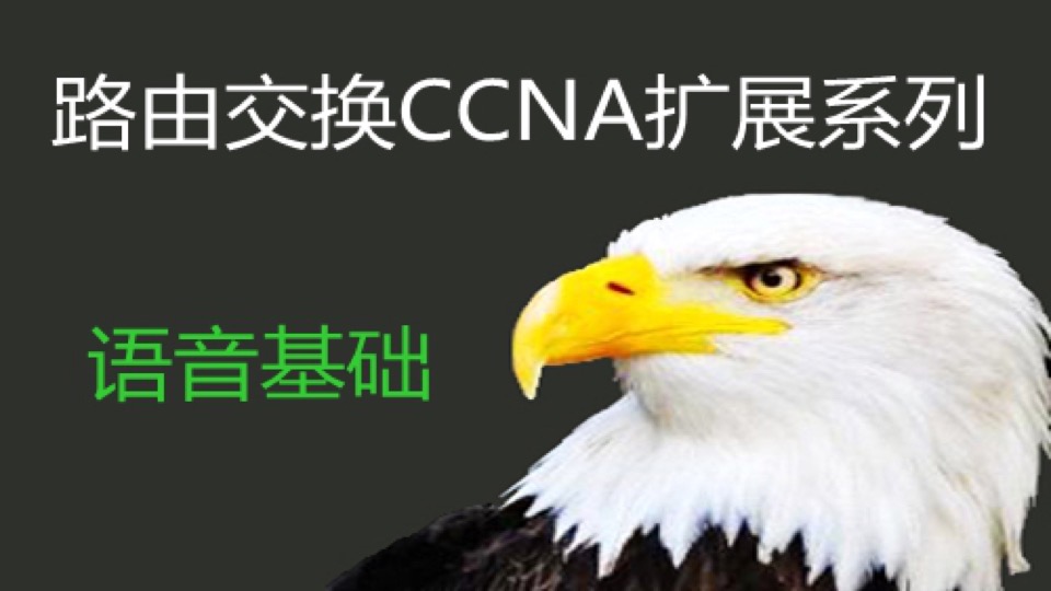 路由交换CCNA认证扩展系列--语音-限时优惠