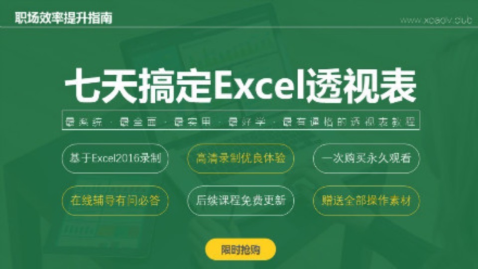 七天搞定Excel透视表-限时优惠