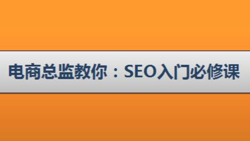 电商总监教你:SEO入门必修课-限时优惠