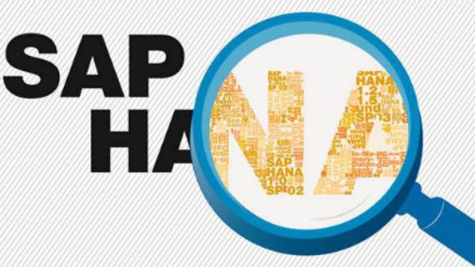 SAP HANA 开发&ABAP ON HANA-中文-限时优惠-网易精品课