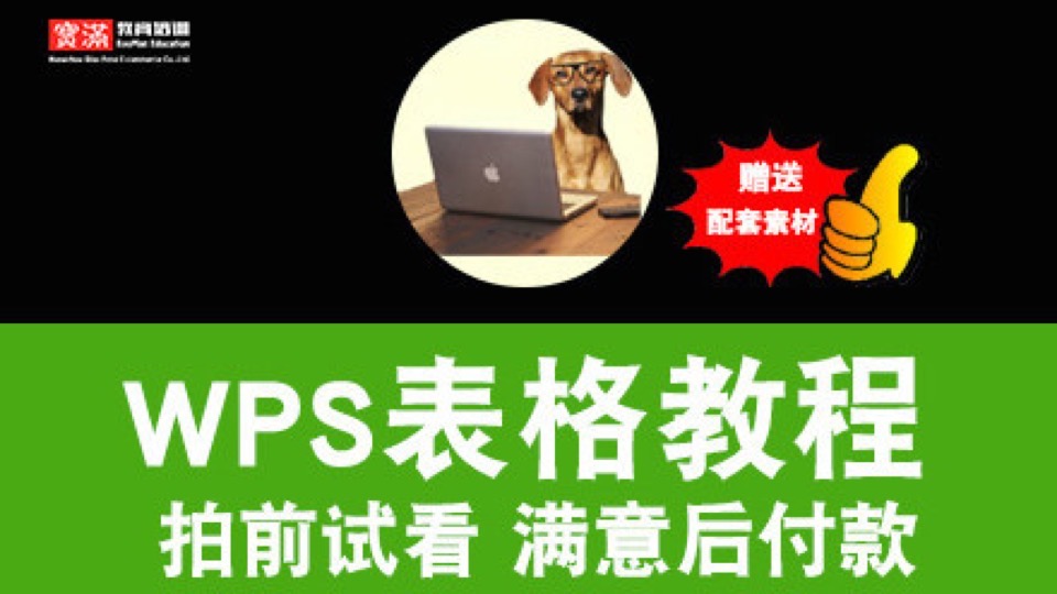 wps2016表格视频教程 excel函数-限时优惠