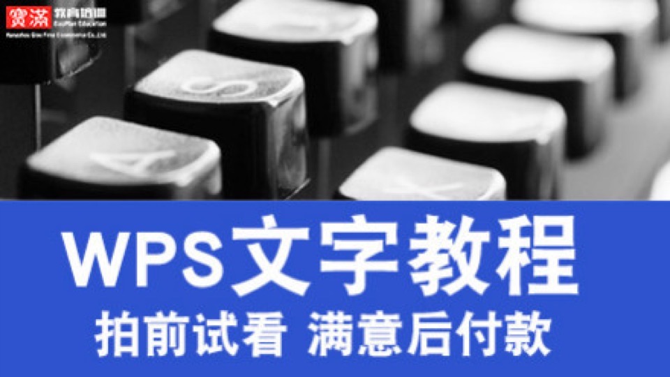 wps2016文字视频教程 word排版-限时优惠