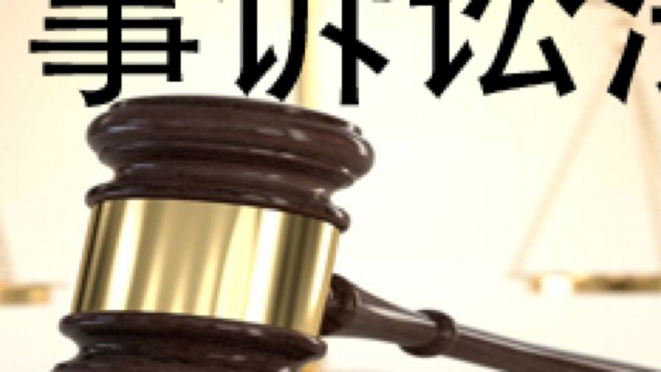 刑事诉讼法(陈光中)-限时优惠