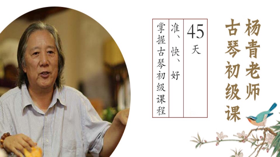 杨青老师45天古琴初级课-限时优惠