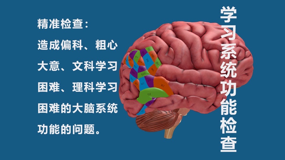 大脑学习系统功能检查-限时优惠
