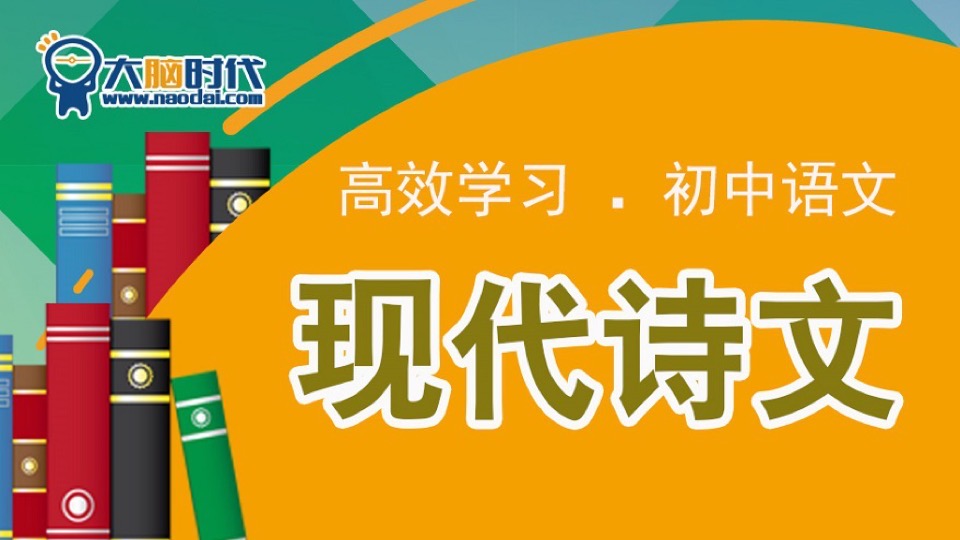 高效学习初中语文现代诗文-限时优惠