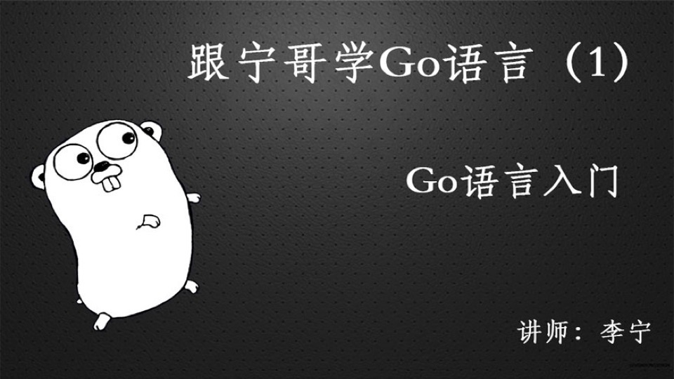 跟宁哥学Go语言:Go语言入门-限时优惠