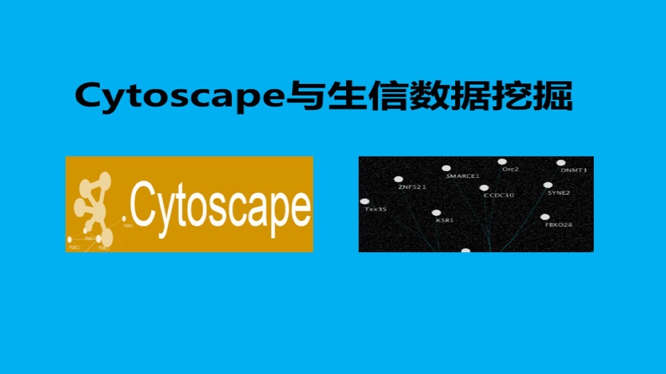 Cytoscape与生信数据挖掘-限时优惠