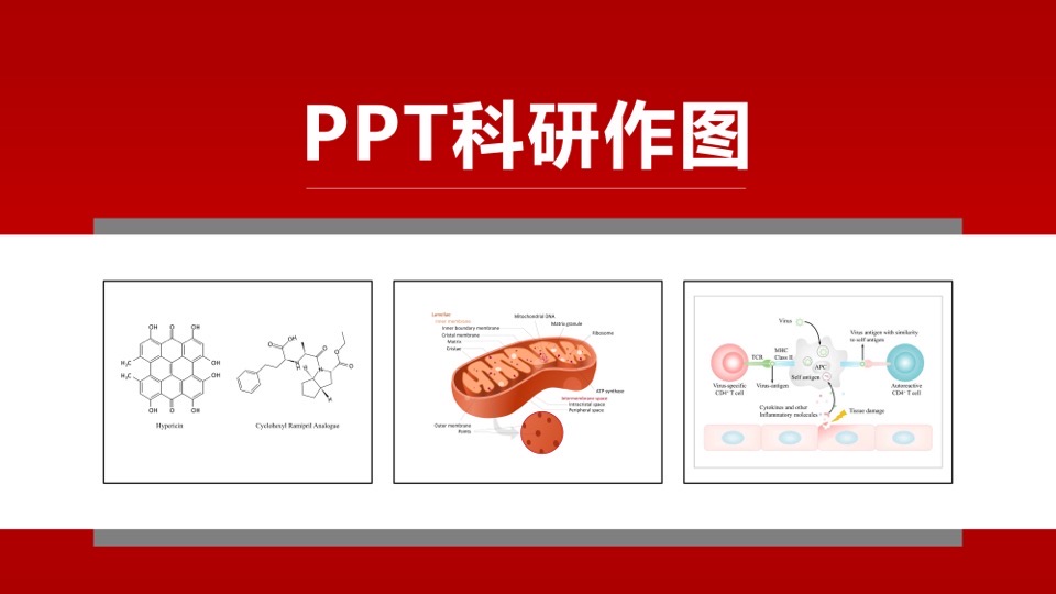 PPT玩转科研作图-限时优惠