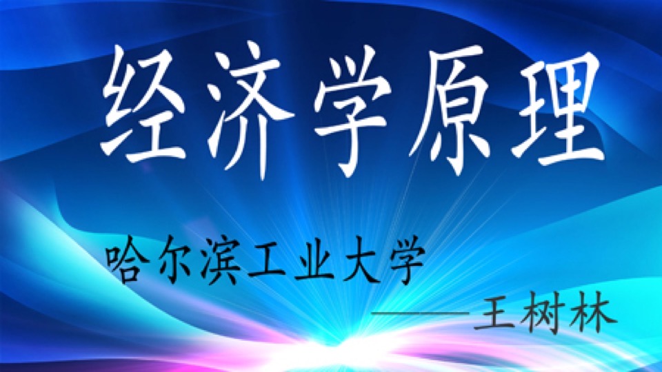 经济学原理(西方经济学)许纯贞-限时优惠