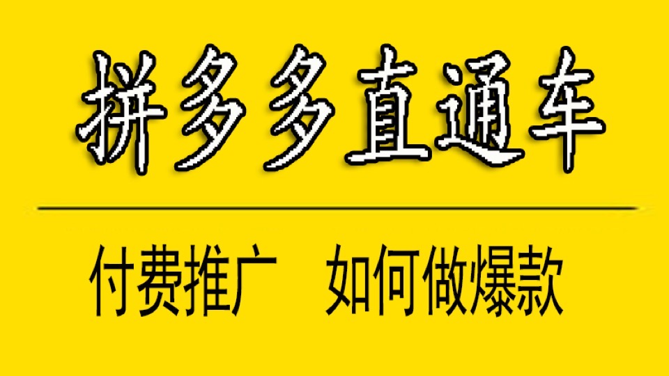 拼多多直通车系列课程-限时优惠