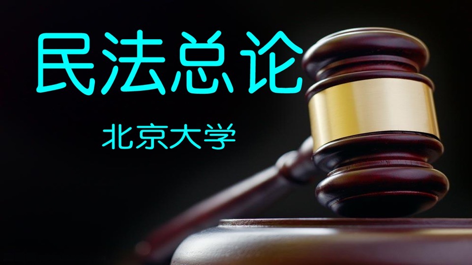 民法总论(含物权法、案例分析)-限时优惠
