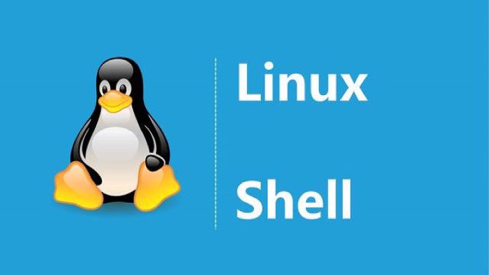 Linux入门/Shell脚本/Shell编程-限时优惠