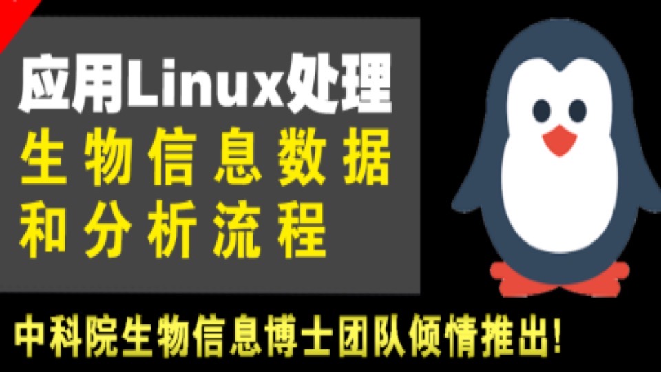生物信息Linux学习（生信宝典）-限时优惠