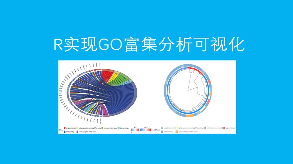 R实现GO富集分析可视化-限时优惠