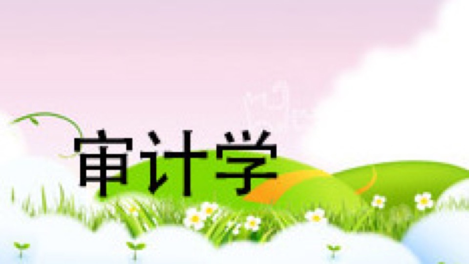审计学(审计师)会计师-限时优惠