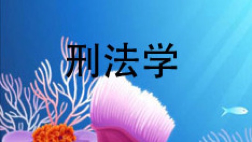 刑法司法考试(刑法学司考)-限时优惠