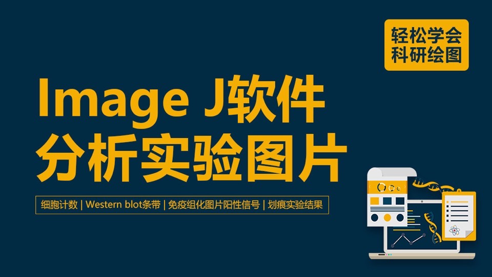 绘图:Image J软件分析实验图片-限时优惠