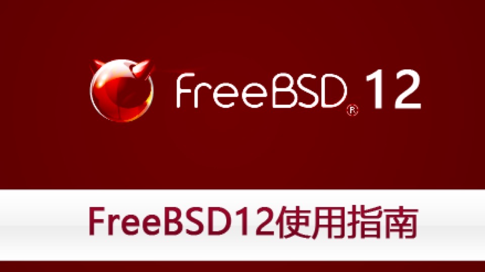 FreeBSD12使用指南-限时优惠