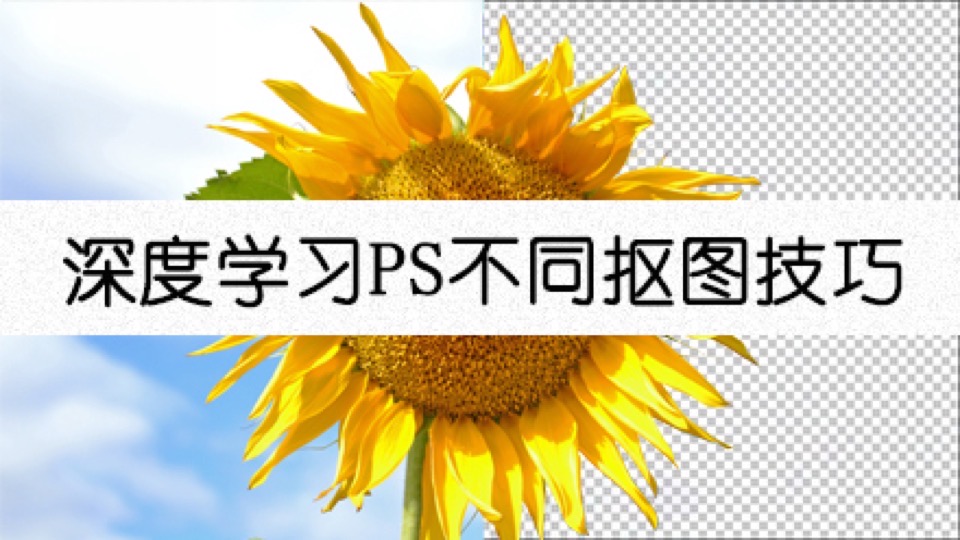 Photoshop深度学习不同抠图技巧-限时优惠