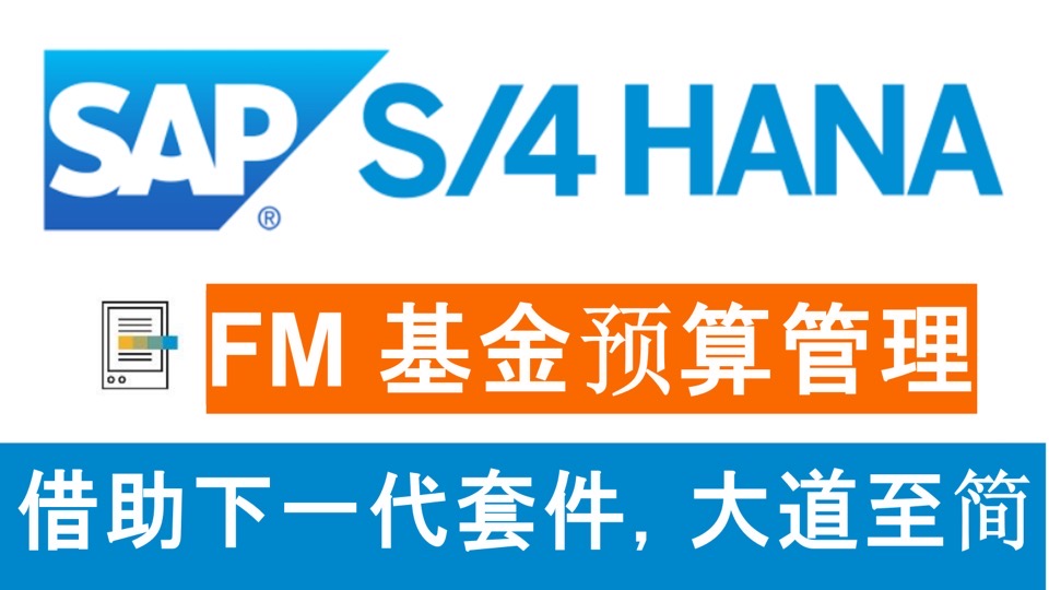 SAP FM基金预算管理-限时优惠