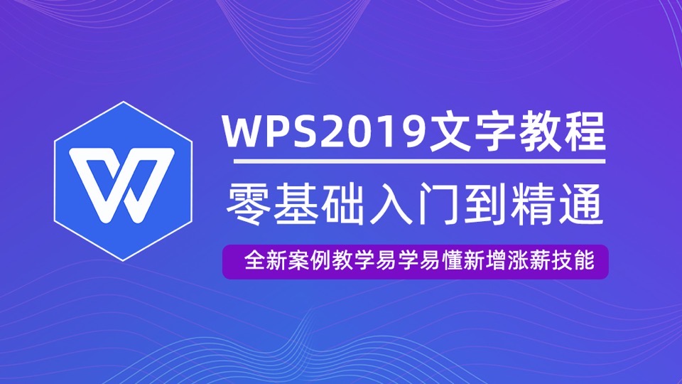 WPS2019文档视频教程 word排版-限时优惠