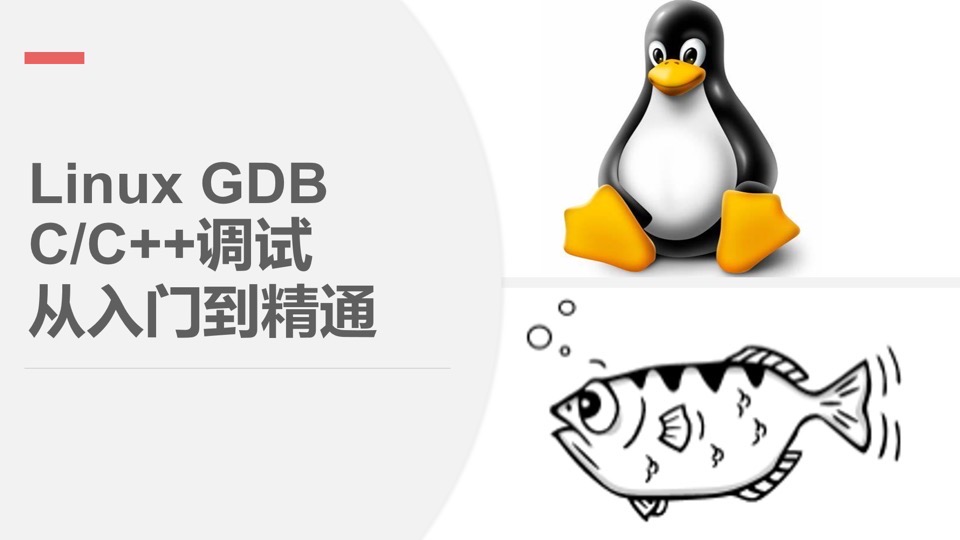 Linux GDB C/C++调试入门与精通-限时优惠