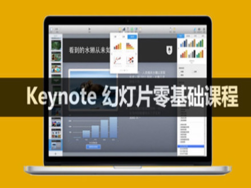 Keynote 幻灯片零基础课程-限时优惠-网易精品课