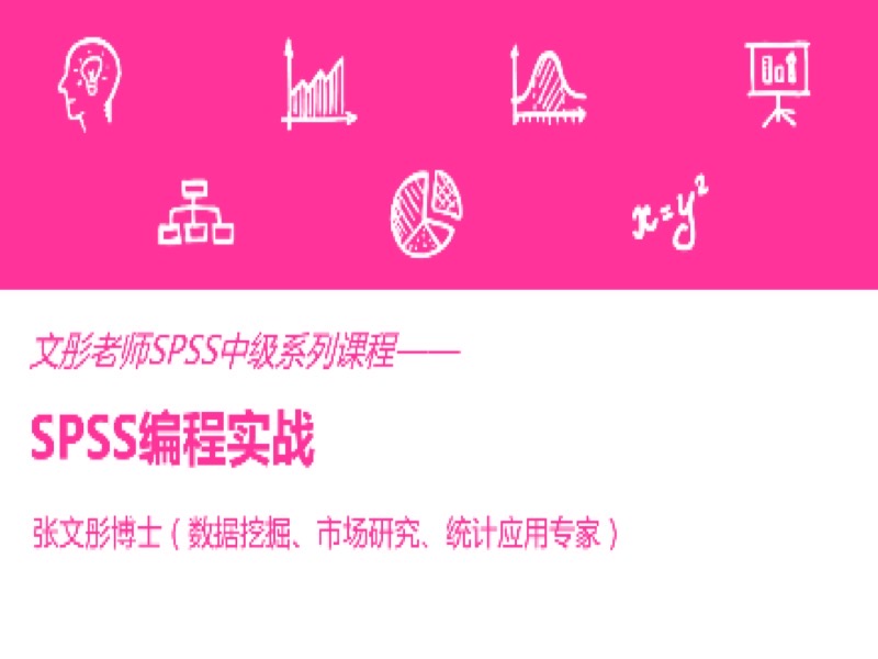 SPSS编程实战-限时优惠-网易精品课