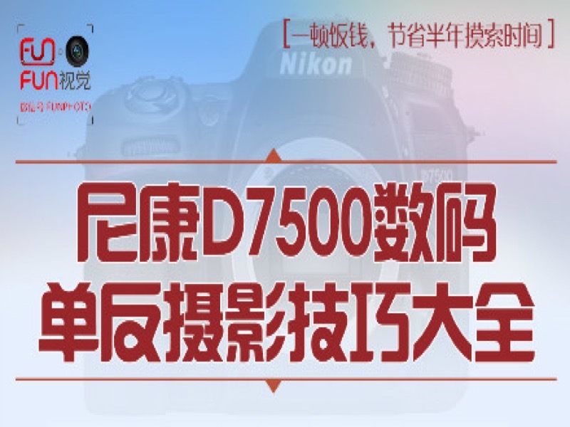 尼康 D7500数码单反摄影技巧大全-限时优惠-网易精品课