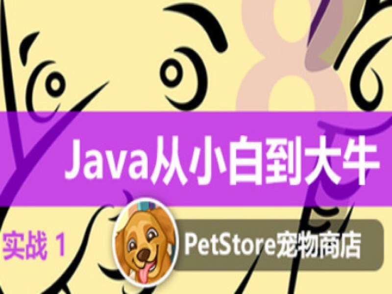 Java从小白到大牛项目：宠物商店-限时优惠-网易精品课