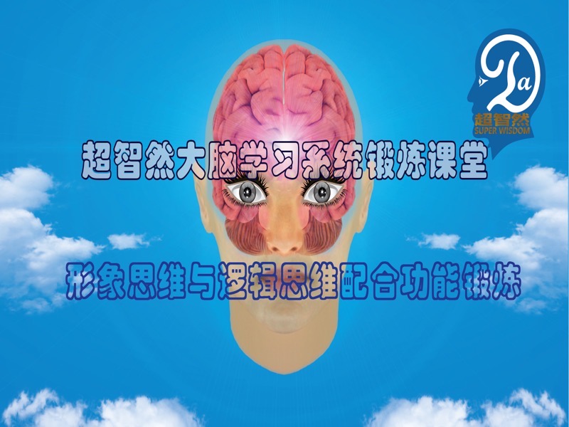 视听配合机制系统智力开发课程-限时优惠-网易精品课