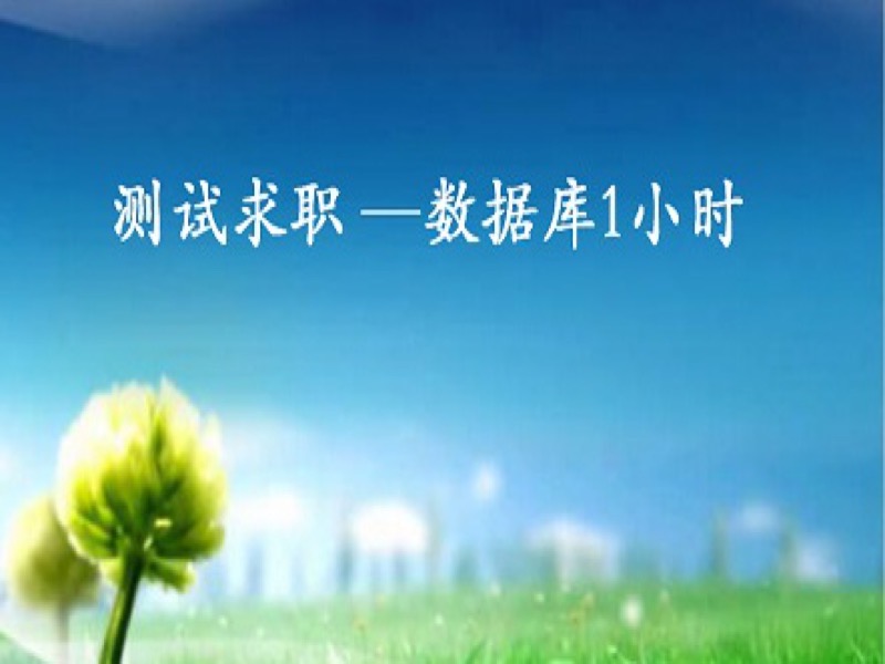 软件测试求职—数据库1小时-限时优惠-网易精品课