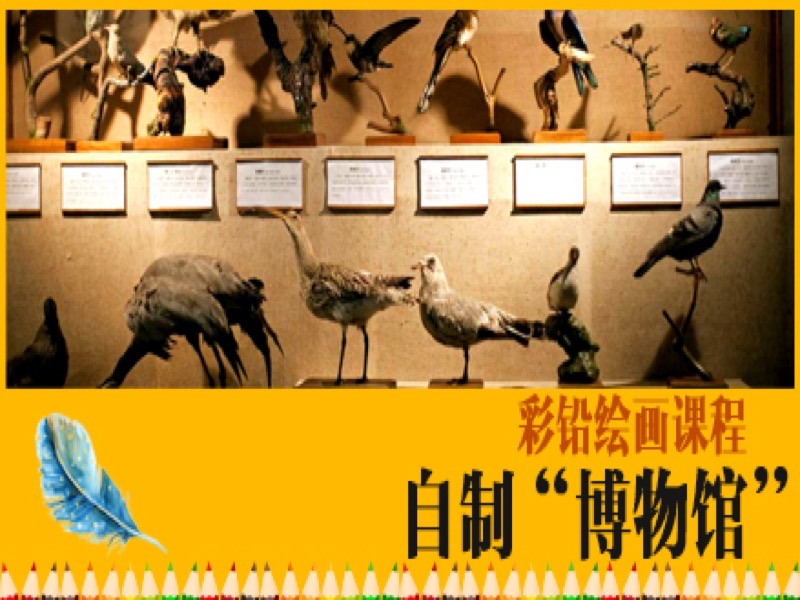 【彩铅】自制博物馆-限时优惠-网易精品课