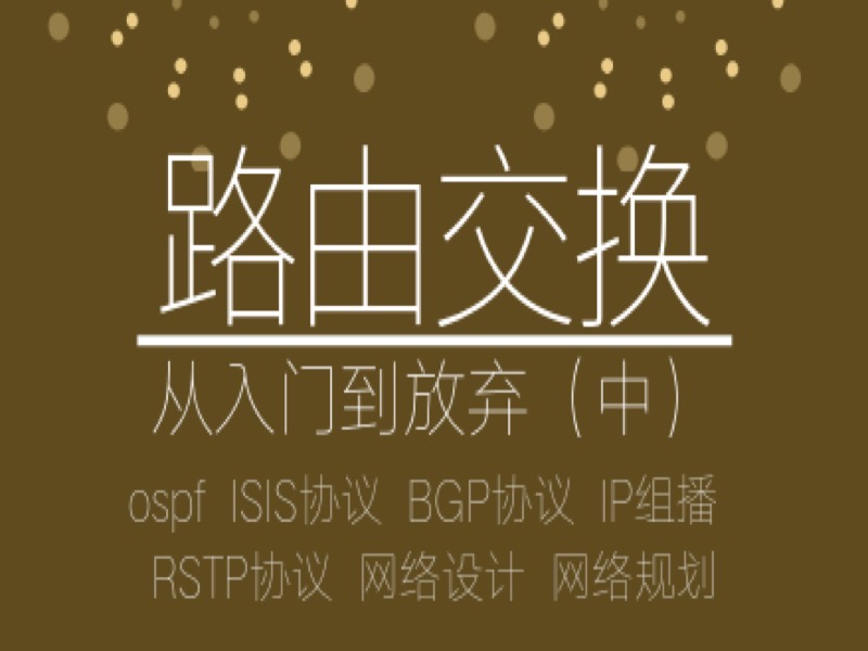 路由交换从入门到放弃（中）-限时优惠-网易精品课