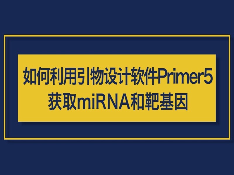 如何用Primer5获取miRNA和靶基因-限时优惠-网易精品课