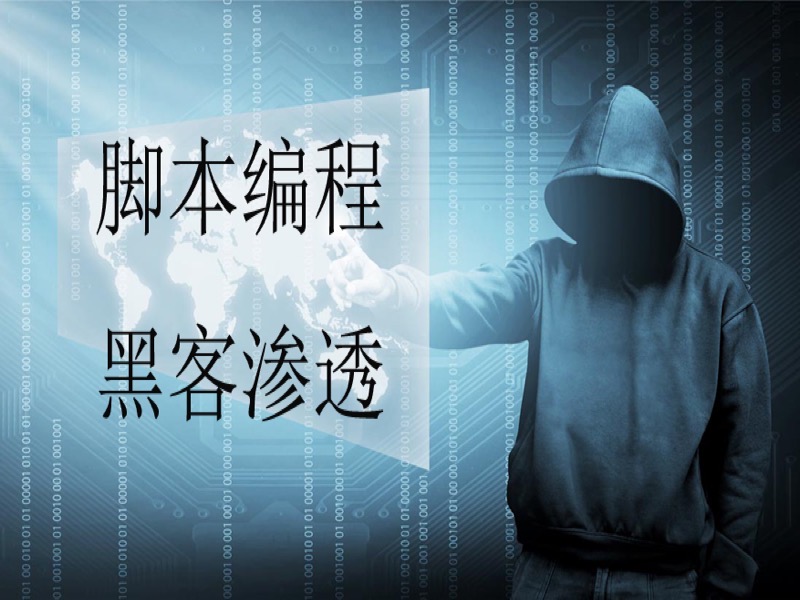 Kali Linux渗透测试与Python编程-限时优惠-网易精品课