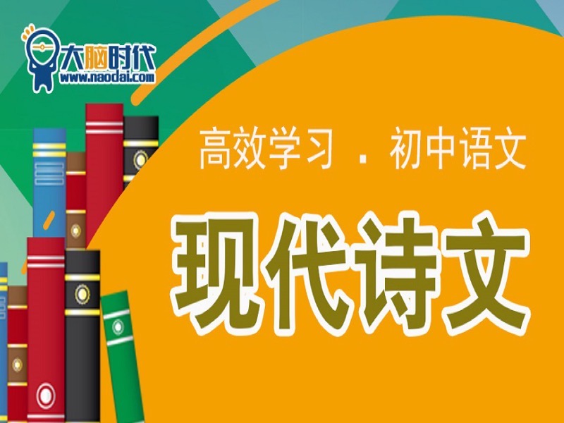 高效学习初中语文现代诗文-限时优惠-网易精品课