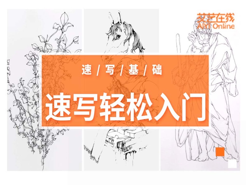 零基础学速写，速写快速入门-限时优惠-网易精品课
