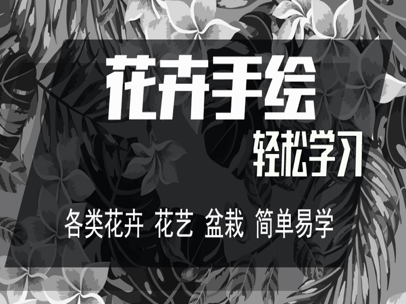 花艺（花卉）手绘入门-限时优惠-网易精品课