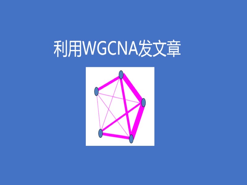 利用WGCNA发文章-限时优惠-网易精品课