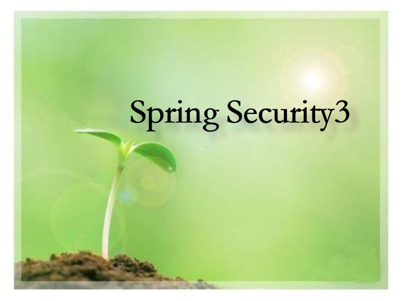 Spring Security3系列-限时优惠-网易精品课