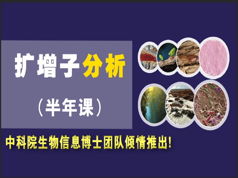 扩增子有参无参分析和功能预测-限时优惠-网易精品课