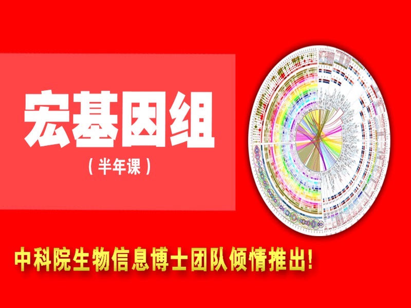 宏基因组专题生信分析-限时优惠-网易精品课