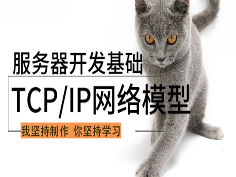 服务器开发基础-tcp/ip网络模型-限时优惠-网易精品课