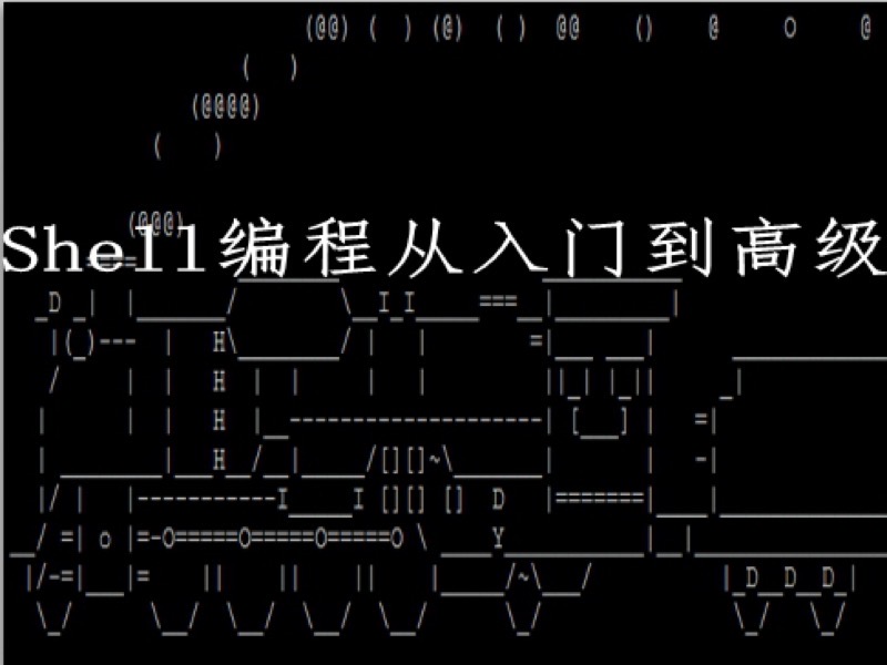 Linux编程Shell从入门到精通视频-限时优惠-网易精品课