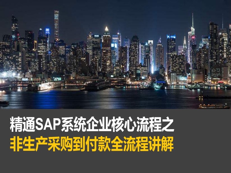 精通SAP非生产采购到付款全流程-限时优惠-网易精品课