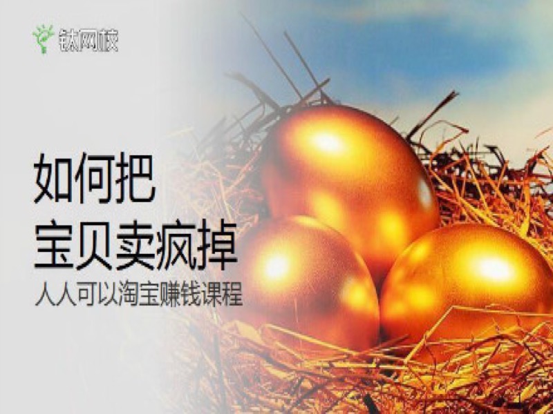淘宝营销课程（ 爆款打造全集）-限时优惠-网易精品课
